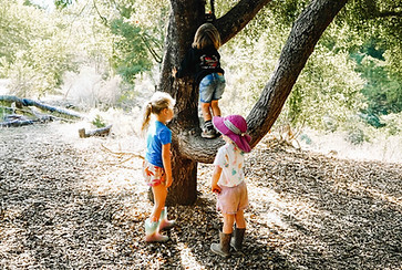 risky play at Wild Wander Forest School