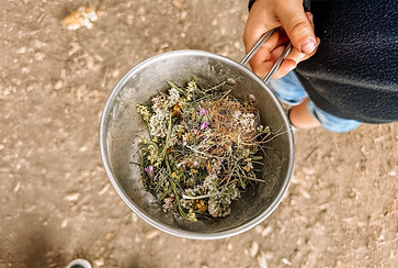 child learning through nature