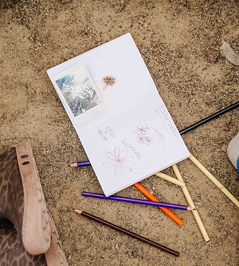 observations at Wild Wander Forest School